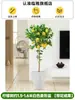 Árvore de limão Four Seasons Fruit em vaso com frete grátis, varanda com mudas de brotos de frutas, plantas de pátio, árvores frutíferas, plantas verdes para ambientes internos