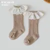 Calcetines de algodón de grado A para bebé, versátiles para primavera y otoño, con un dulce diseño de encaje calado, de longitud media hasta la pantorrilla y un borde festoneado estilo princesa.