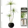 Planta Verde de Simulación Madera Milenaria Planta Falsa Lujo Ligero de Gama Alta Decoración de Interiores Árbol Sala de Estar Grande en Maceta Adornos de Piso
