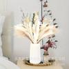 Capim-dos-pampas Pequeno Junco Cauda de Coelho Poeira Pequeno Pampas Eucalipto Decoração de Casa Mix and Match Transfronteiriço Seco