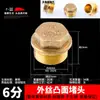 Tapón de Tubería de Agua de Cobre Puro, Tapa Roscada, Tapón para Agujero de Pared, Tapón Ciego de Cuatro Puntos, Tapa de Tubería, 1/2 Pulgada, 3/4 Pulgada, Tapa de Tapón Roscado Interno y Externo
