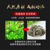 Moxa barro moxibustión moxibustión con hierbas chinas barro volcánico barro de cártamo moxa barro especial para salón de belleza Nanyang al por mayor