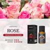 Óleos Essenciais de Aromaterapia em Estoque para Difusores, Óleos Essenciais Solúveis em Água