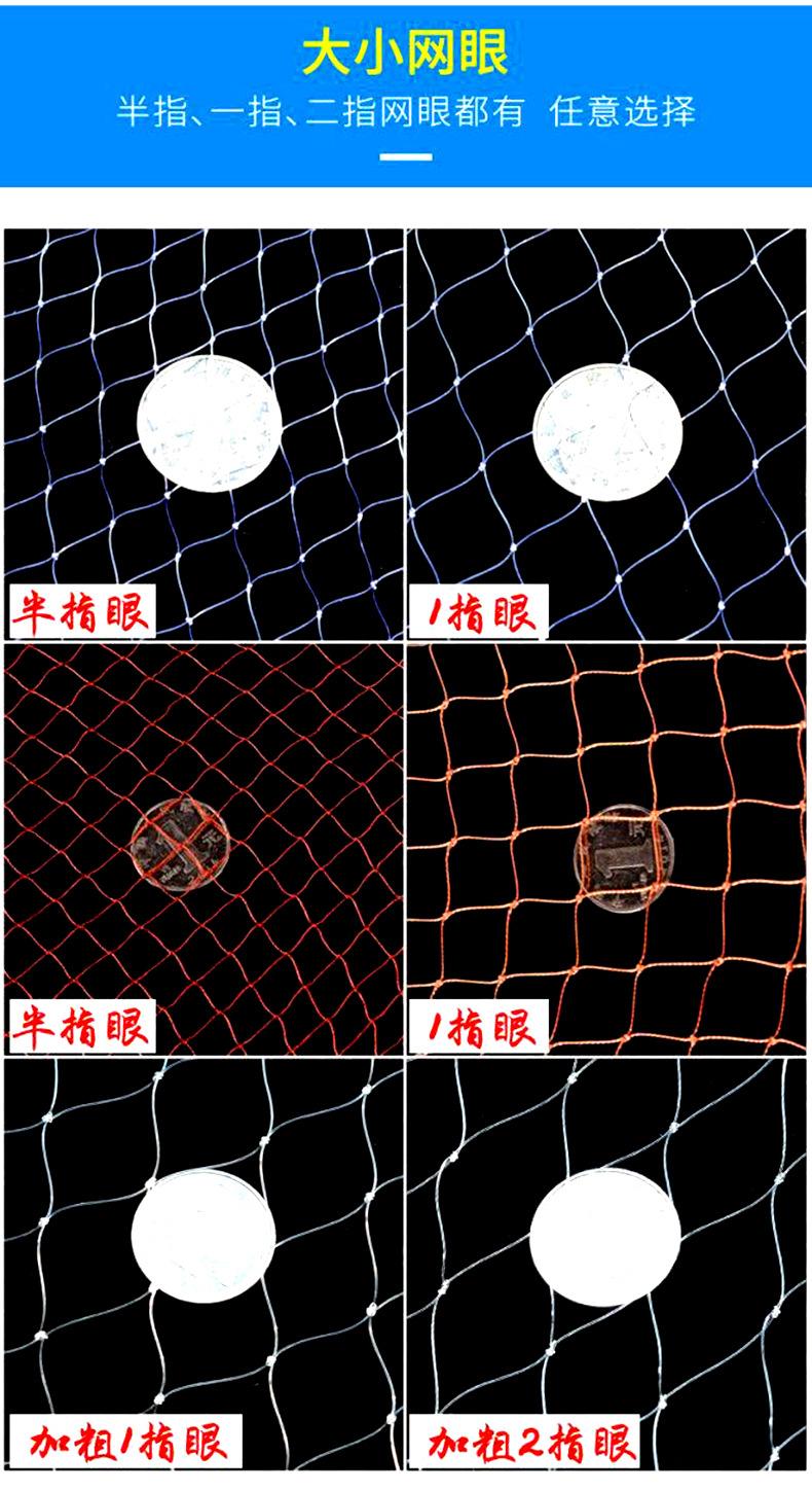 2213289830841(1)