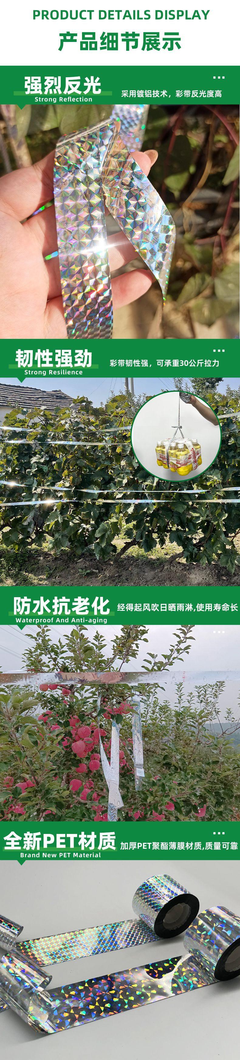 详情_05