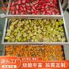 Secador de vacío de cámara cuadrada, secador de fideos instantáneos, bolsa de verduras, liofilizador, equipo de liofilización de zanahorias en cubos, máquina de liofilización al vacío