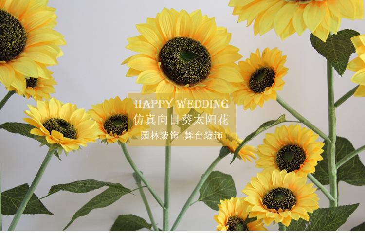 sunflower_01