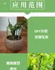 Alambre para Jardinería, Alambre de Atar Recubierto de Plástico, Alambre de Hierro Hecho a Mano para Bricolaje, Alambre de Hierro Suave para Vivero y Jardín, Cuerda para Atar, Cuerda de Atar