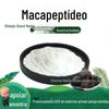 Péptido de Maca Extrato de Maca em Pó Matéria-Prima Grau Alimentício Pó Solúvel em Água Bebida Sólida Péptido de Molécula Pequena em Estoque