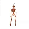 Marco de Calavera para Producto Nuevo Transfronterizo 90cm Articulado Ajustable Adorno de Terror de Halloween Calavera Humana Esqueleto Calabaza Marco de Calavera