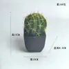 Cactus artificial cactus columna maceta tropical falso verde paisajismo desértico falso verde decorativo cactus bola adornos