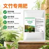 Fertilizante Especial para Helecho Espárrago para Prevenir Hojas Amarillas, Promover Crecimiento de Raíces, Fortalecer Plántulas, Solución Nutritiva, Fertilizante Tipo General para Plantas Verdes en Maceta y Flores