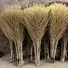 Ramas de Bambú Naturales para Escobas de Sanidad, Materias Primas para Escobas de Bambú, Grandes Cantidades de Materias Primas para Escobas de Bambú Disponibles, Venta al por Mayor de Fabricantes