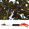 Tijeras Telescópicas para Recolectar Fruta Podadora Telescópica de Árboles Cutterpro