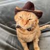 Amazon Comércio Exterior Transfronteiriço Novo Gato e Cachorro de Crochê Puro Feito à Mão Chapéu de Cowboy Personalizado Divertido e Fashion para Animais de Estimação