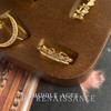 Anillo Mariposa Luna Vintage Antiguo Lujo Ligero Alta Gama Zircón Micro-incrustado Diseño Nicho Anillo de Dedo Abierto