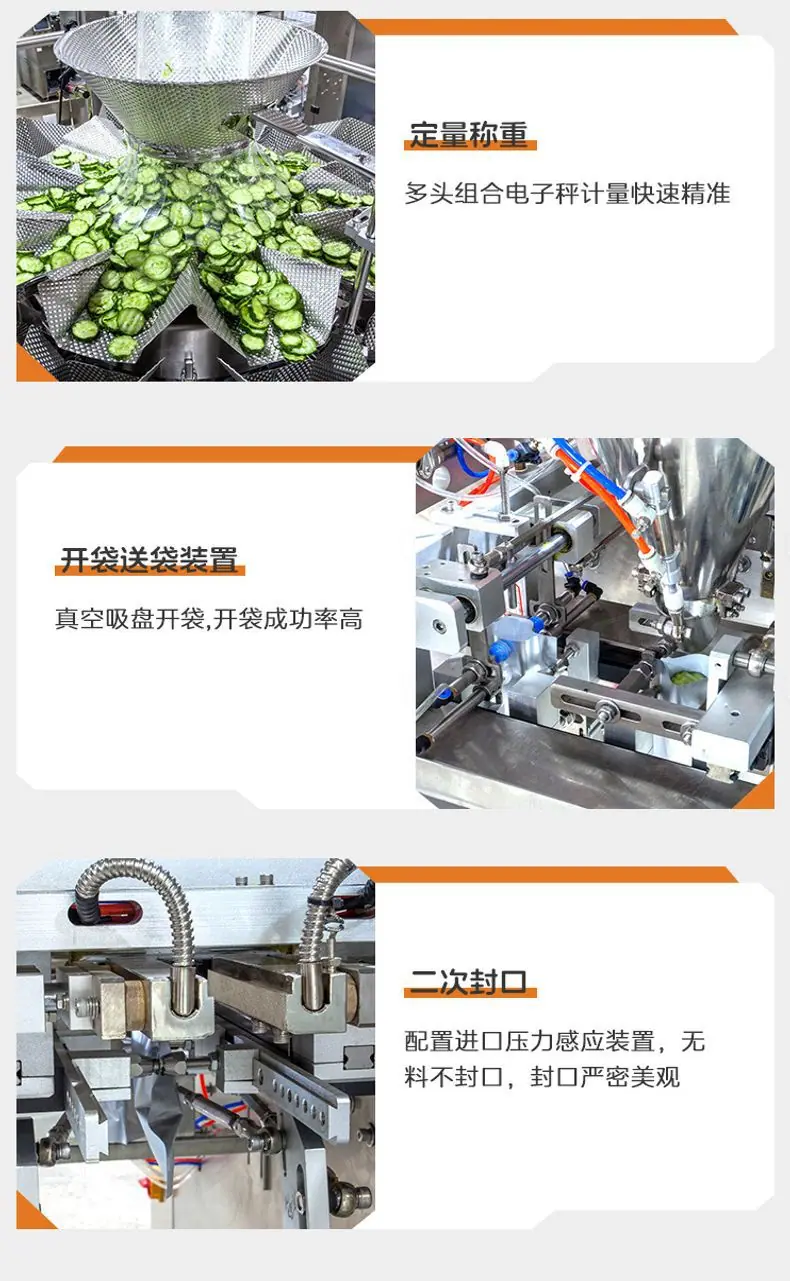 LDSP-160A水平给袋机(钢印打码+裙边提升机+10头1