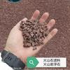 Fábrica de Material Filtrante de Ceramsita de Tianjin Tratamiento de Aguas Residuales Relleno de Parque Humedal para Purificar Aguas Residuales de la Vida