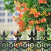 Muda de Cipó-trombeta resistente ao frio planta trepadeira floresce nas quatro estações boa planta verde jardim de vasos varanda flor guarda-canhão muda grande
