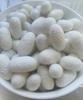 Casca de Casulo de Amora para Beleza Natural com Pupa para Lavagem do Rosto, Dedais, Beber Chá, Extração de Seda, Casca de Casulo Medicinal para Mergulho em Água e Beber com Casca de Seda