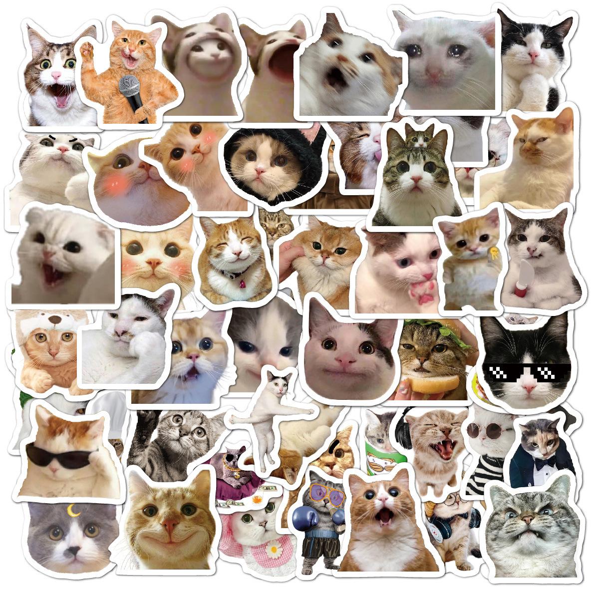 20230904-猫猫表情包贴纸效果图_画板 1修改
