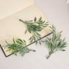 Planta Simulada Eucalipto Plástico Accesorios para Plantas Acuáticas Flor de Seda Artificial Planta de Imitación Pared Bonsái Decoración para Acuario Venta al por Mayor