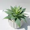Suculentas Simuladas con Espinas, Loto de Nieve, Flores Artificiales Falsas, Adornos Creativos, Bonsái de Escritorio para el Hogar Escandinavo
