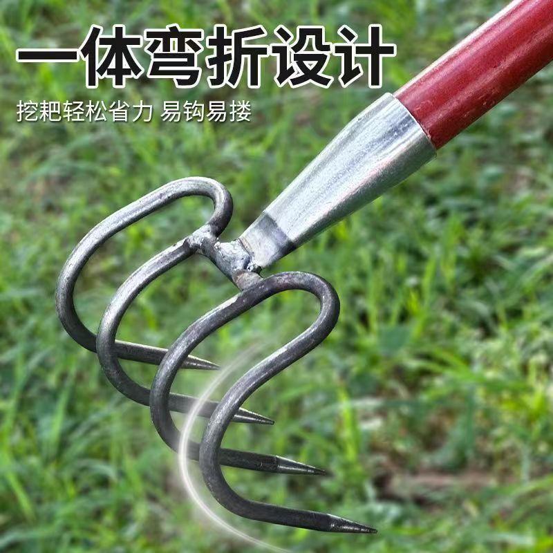 微信图片_20250307222531