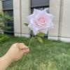 Flor Artificial Única Rosa Shi Chuan Jiao Decoración de Boda para el Hogar Flor Falsa Venta al por Mayor