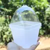 Macetas Cuadradas Negras Pequeñas para Suculentas de Jardinería, Cubiertas Cuadradas Grandes para Invernadero, Macetas de Boca Cuadrada para Todo Tipo de Plantas, Macetas Jade Dew para Cobertura Total