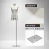 Modelo masculino de estilo coreano ajustado, accesorios de media figura humana, escaparate de ropa, modelo informal de moda, expositor de cuerpo entero