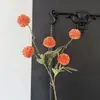 Nuevo Color 2026 Flores Artificiales de Bolitas Pequeñas de 5 Cabezas para Decoración de Bodas, Decoración del Hogar, Accesorios de Fotografía, Flores Falsas para Paisajismo, Flores de Seda de Exportación