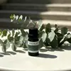 Difusor de Aroma sem Chama Personalizado 10ml Óleo Essencial, Pedra Difusora, Líquido de Recarga à Base de Óleo, Líquido Desodorizante e de Fragrância Duradoura