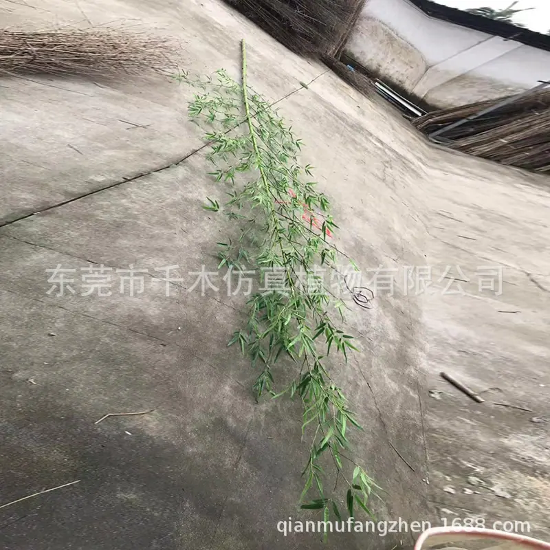微信图片_201908241847342