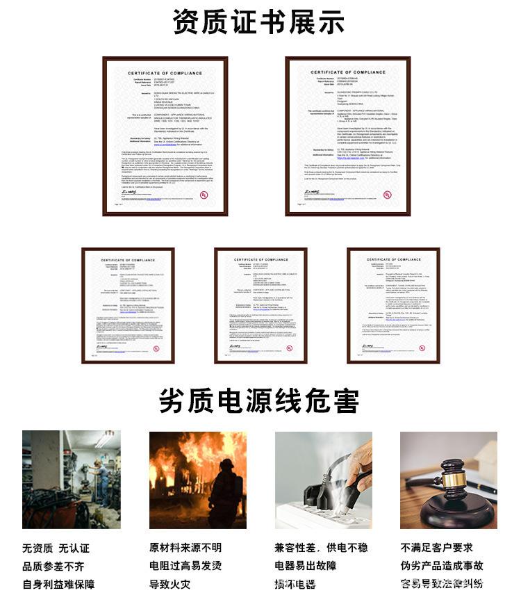 电源线详情（美标）2.jpg