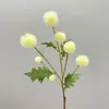 Bolas de Cebolla Simuladas, Frutos de Castaño, Planeta Azul, Frutos de Diente de León, Frutas Falsas, Decoración Floral de Boda, Arreglo Floral y Materiales Vegetales