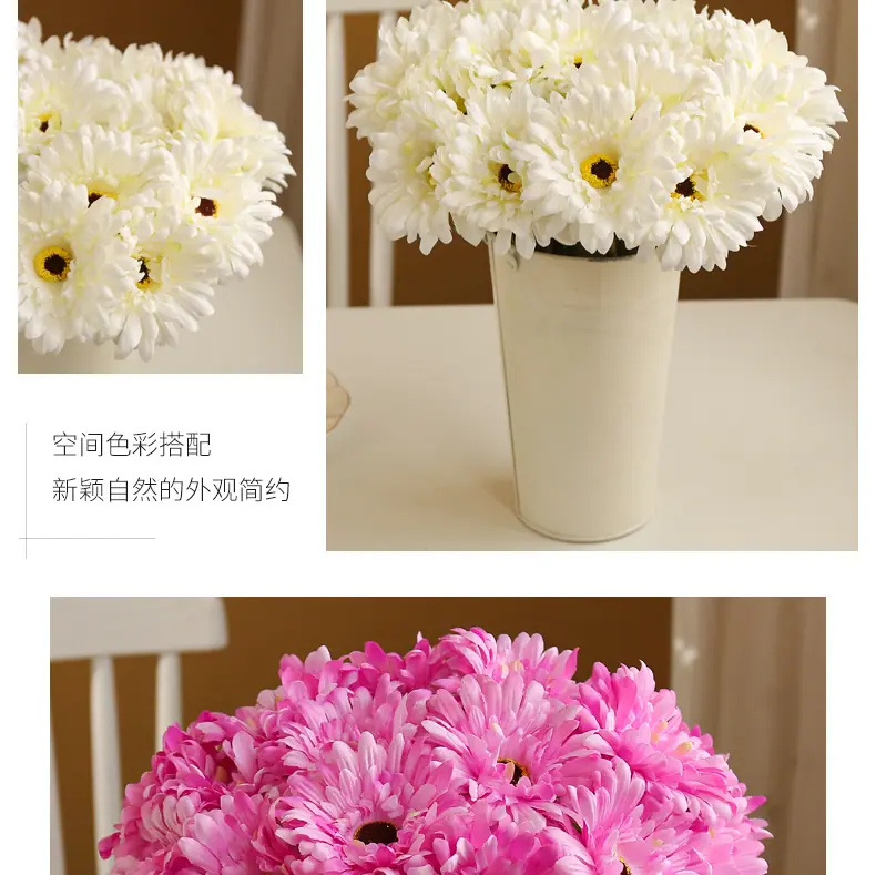 短枝菊-花_09.jpg