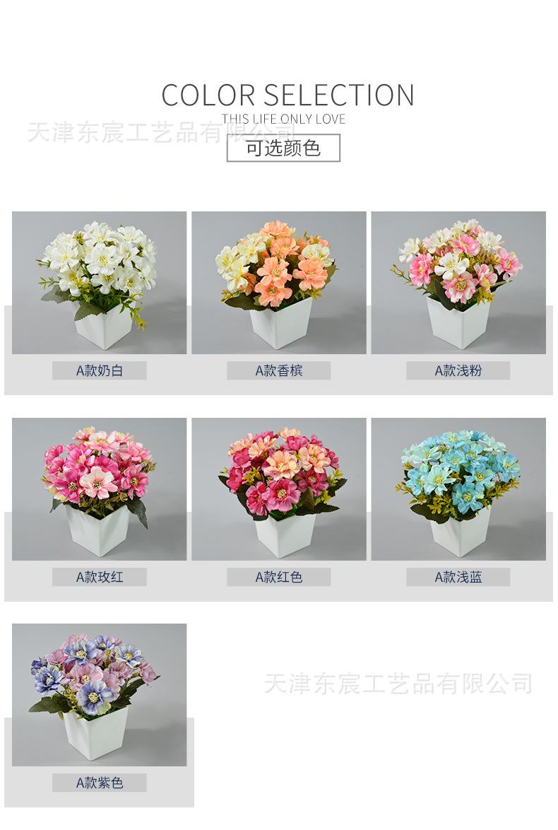 详情_02.jpg