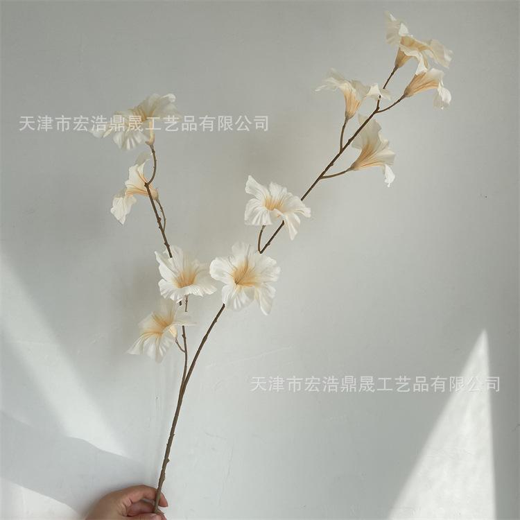 微信图片_202209081728222