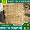 Tapetes de Grama para Sementeadura Cobertura de Grama Cercas de Grama Manutenção de Superfícies de Estrada Tapetes de Grama Antiderrapantes Isolamento de Estufa Tapetes de Grama Bambu Madeira