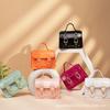 2023 Nuevo Bolso de Gelatina de PVC para Mujer bolsos de mujer Comercio Exterior Sudeste Asiático Bolso Pequeño Bolso Cambridge de Gelatina para Mujer