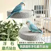 Palo posadero para loros suministros para aves, plataforma posadero creativa para pájaros, tabla para afilar garras y pico, plataforma de salto para periquitos, accesorios de paisajismo para jaulas de pájaros