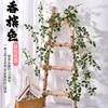 Enredaderas de Rosas, Rosas Trepadoras, Decoraciones para Calefacción Interior, Enredaderas de Flores para Cubrir Paredes, Plantas Verdes