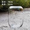 Botella Ecológica Micro-Paisaje Peces Acuario Pequeño Peces y Camarones Paisajismo de Escritorio DIY Regalo Creativo Acuario Ecológico