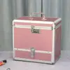 Caja de Joyas con Candado de Contraseña Gran Capacidad Estuche de Maquillaje Portátil Caja Multifuncional para Joyería de Mano Caja de Maquillaje Regalo de Princesa