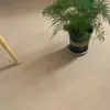 Alfombra para dormitorio, uso comercial, sala de estar, color gris, apta para fotografía, pieza completa cortada a medida, uso doméstico, cobertura total, oficina, área grande, venta al por mayor de comercio exterior