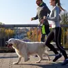 Cuerda Táctica para Perro Transfronteriza K9 Correa para Mascotas de Exterior Perro Grande Retráctil Anti-impacto Explosión Correa para Perro Cuerda Elástica