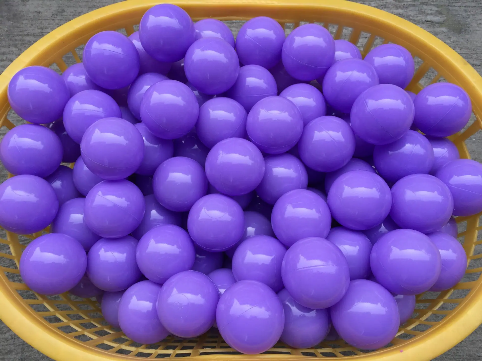 照片 010
