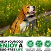 Tabletes Mastigáveis de Cuidado contra Pulgas e Carrapatos para Animais de Estimação, Imunidade e Pele, Fabricante Personalizado OEM
