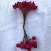Fruta Escarchada de Espuma Simulada Estilo Chica del Bosque de Frutas Cuentas de Vidrio Escarchado Cuerda de Frutas DIY Accesorios Guirnalda Materiales